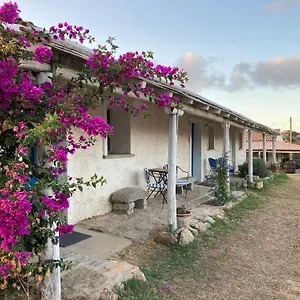 Séjour à la ferme La Tana Di Lu Maccioni